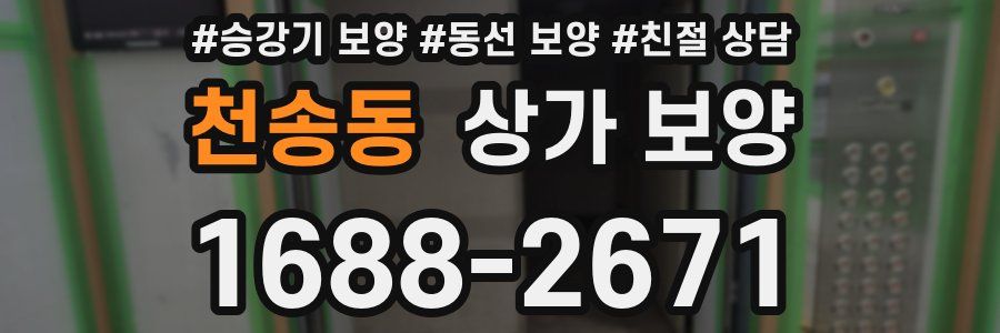 천송동 상가 보양