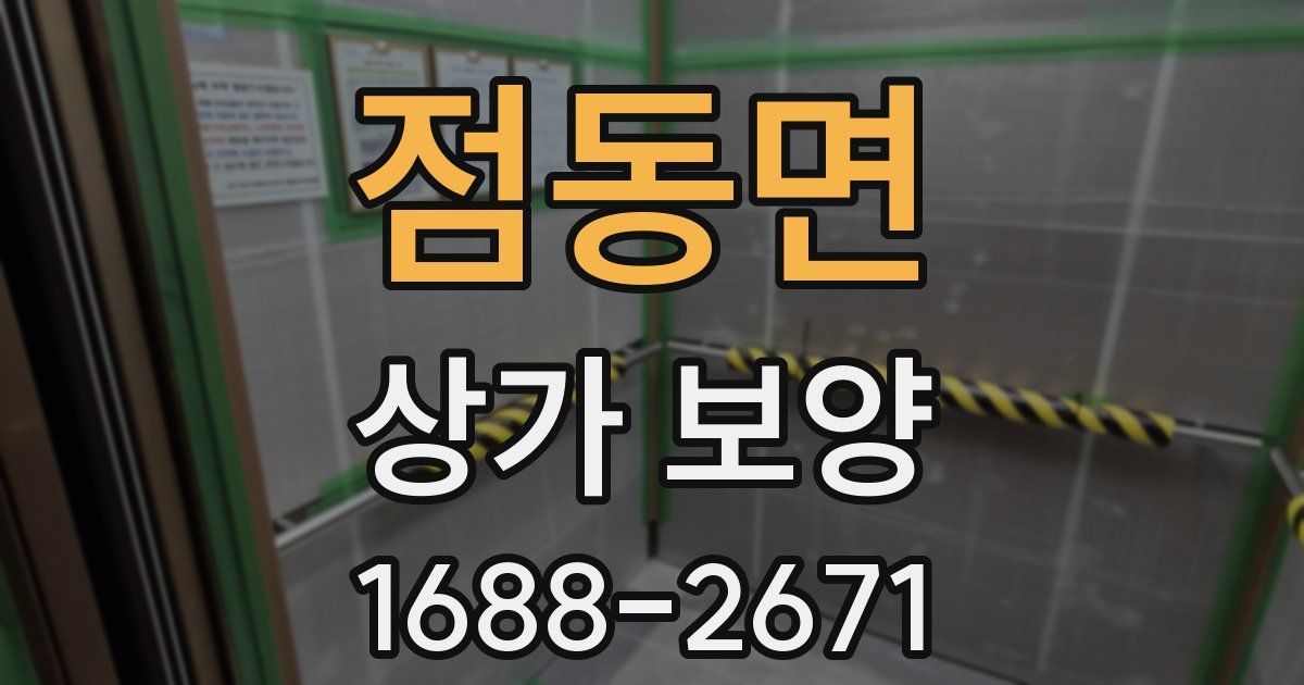 점동면 상가 보양
