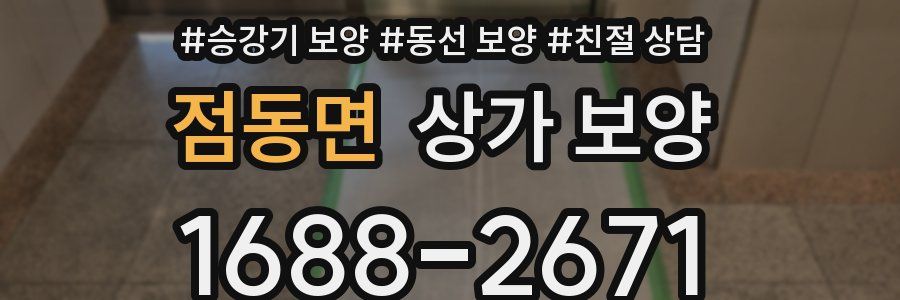 점동면 상가 보양