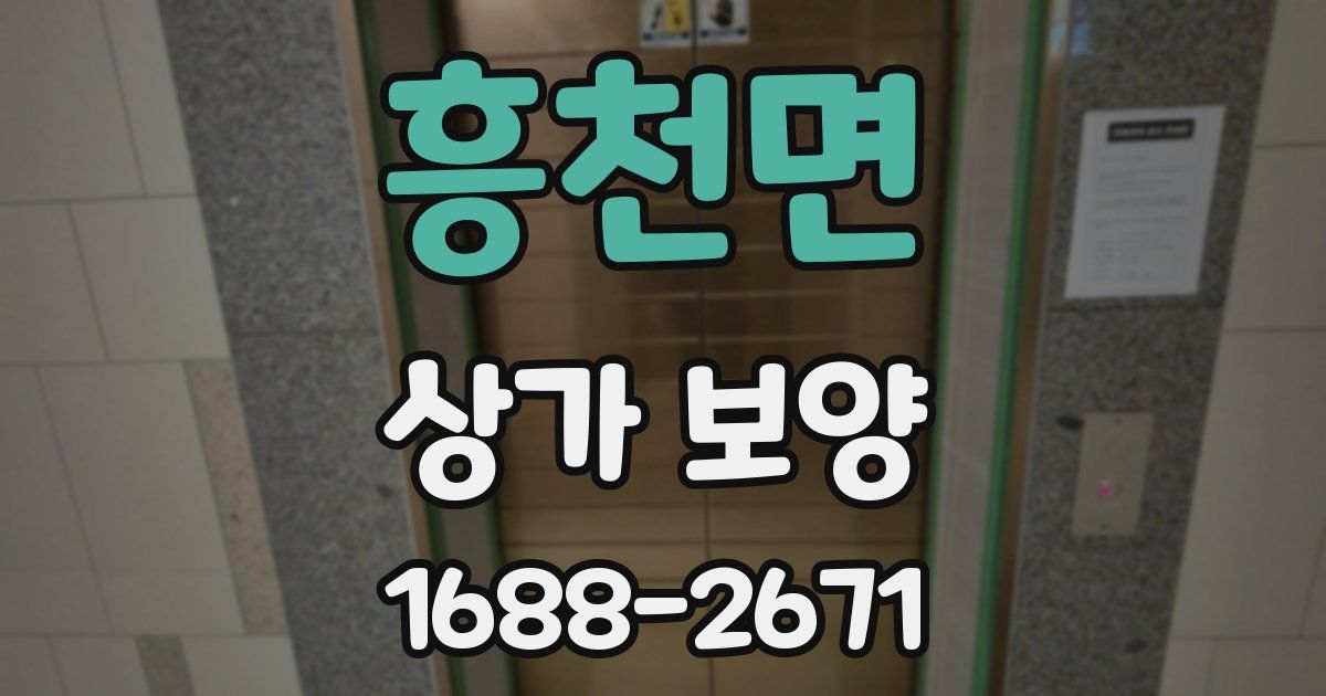 흥천면 상가 보양