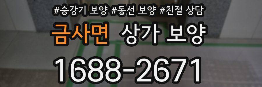 금사면 상가 보양