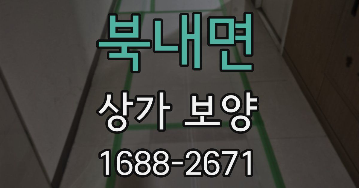 북내면 상가 보양