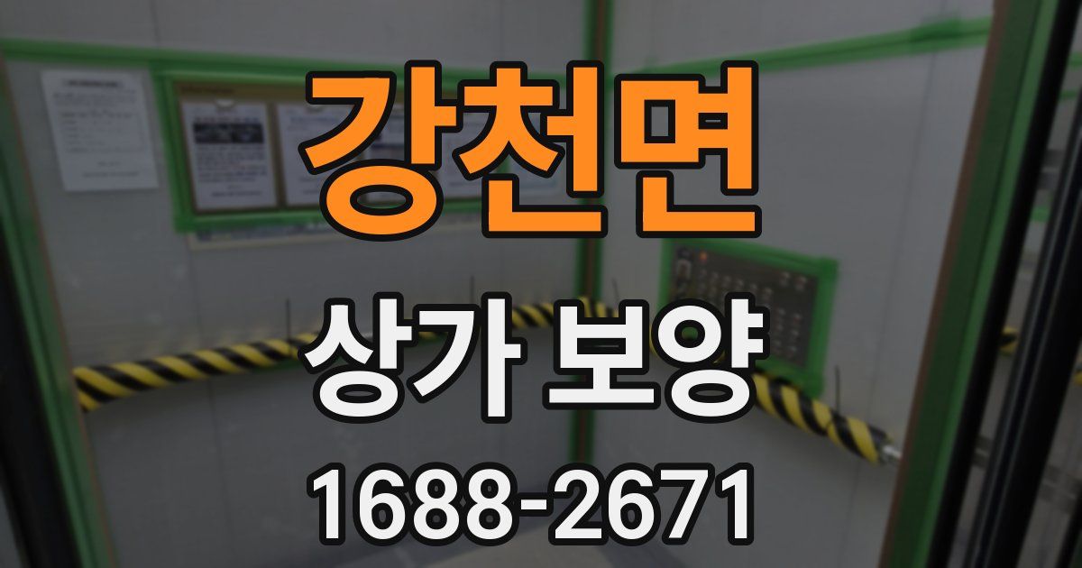 강천면 상가 보양