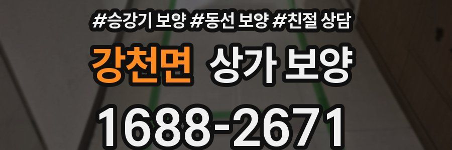 강천면 상가 보양