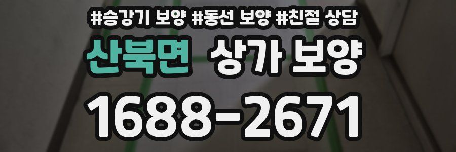 산북면 상가 보양