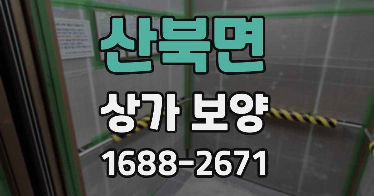 산북면 상가 보양