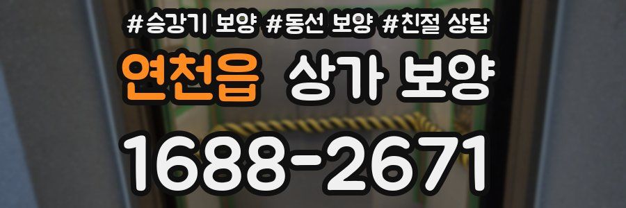 연천읍 상가 보양