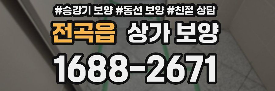 전곡읍 상가 보양