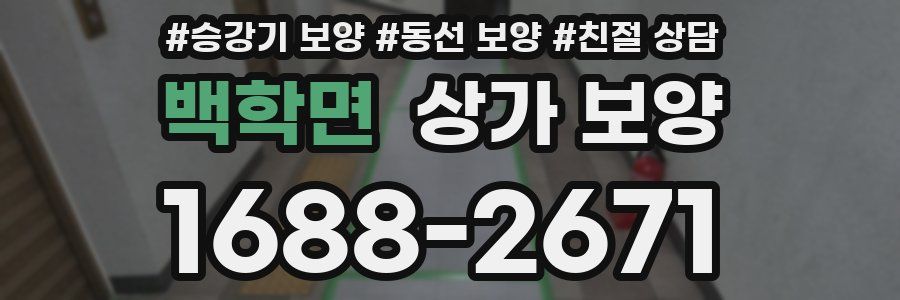 백학면 상가 보양