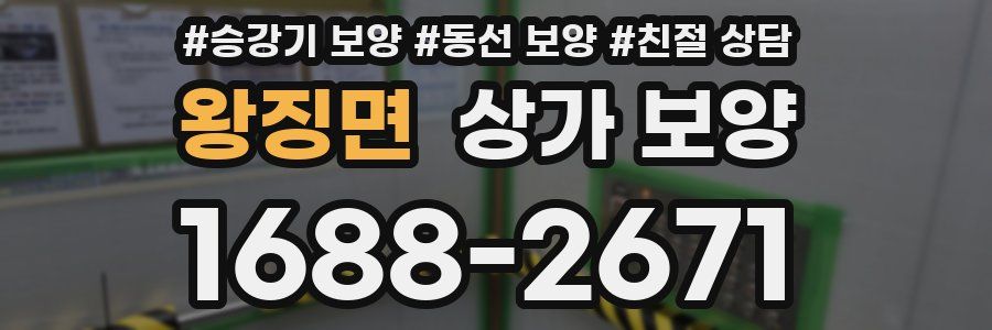 왕징면 상가 보양