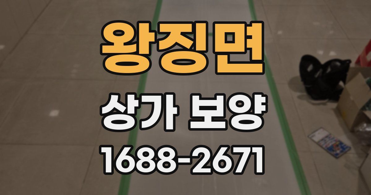 왕징면 상가 보양