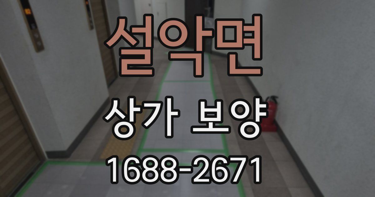 설악면 상가 보양