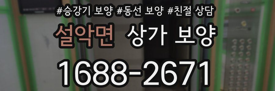 설악면 상가 보양