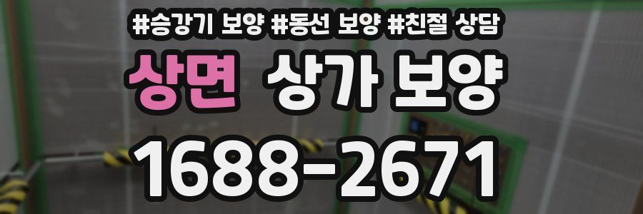 상면 상가 보양