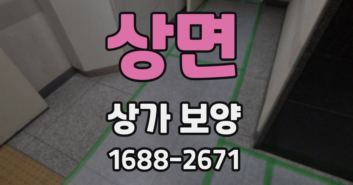 상면 상가 보양