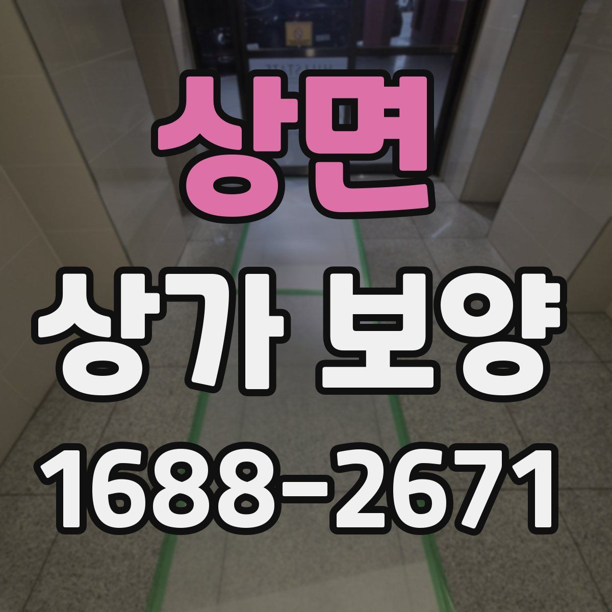 상면 상가 보양