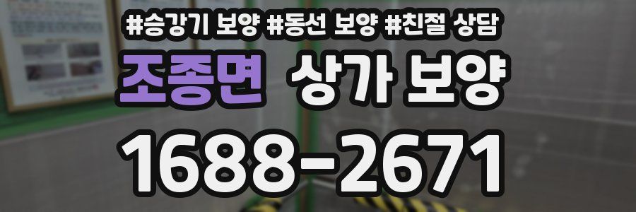 조종면 상가 보양