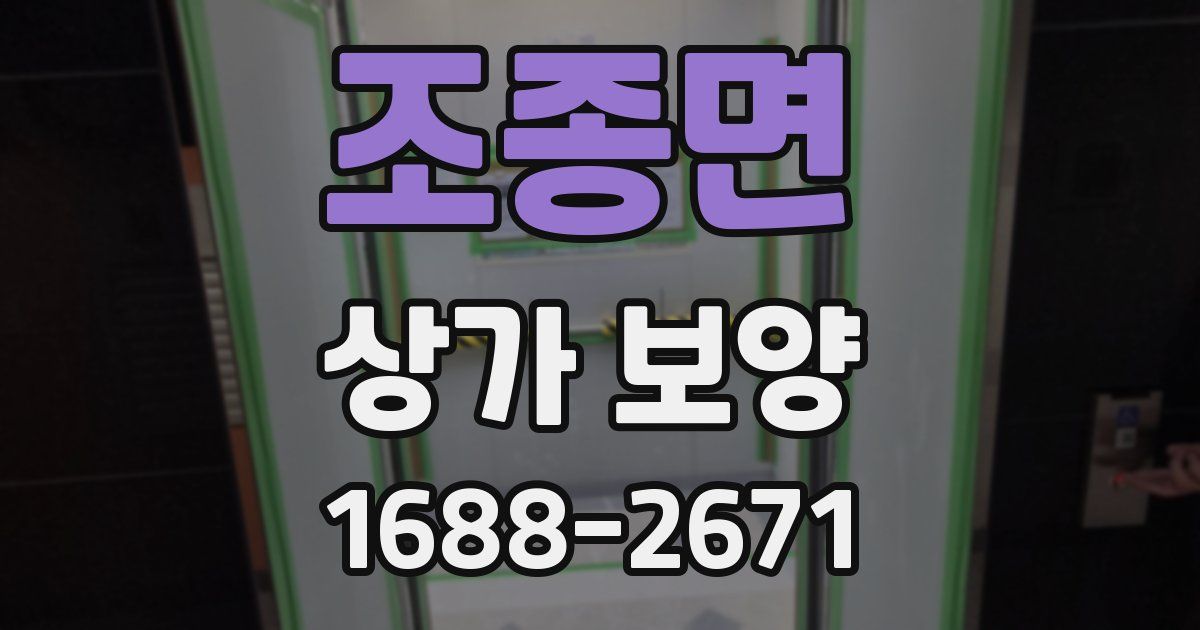 조종면 상가 보양