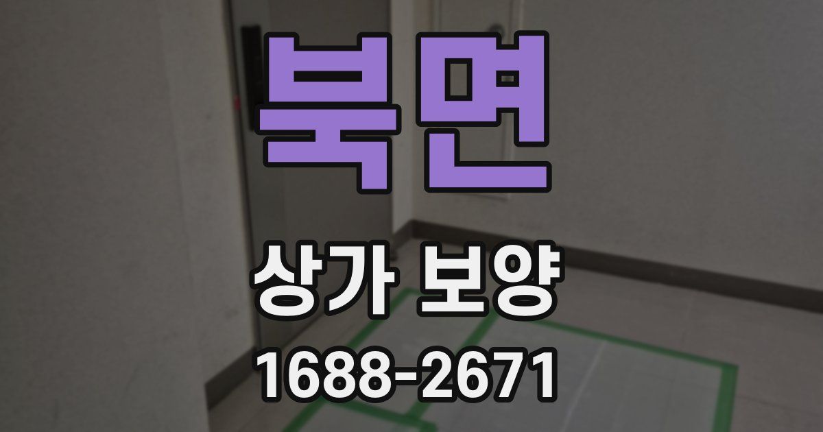 북면 상가 보양