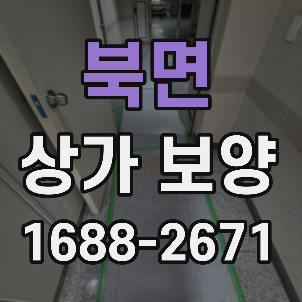 북면 상가 보양