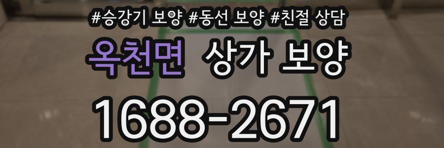 옥천면 상가 보양