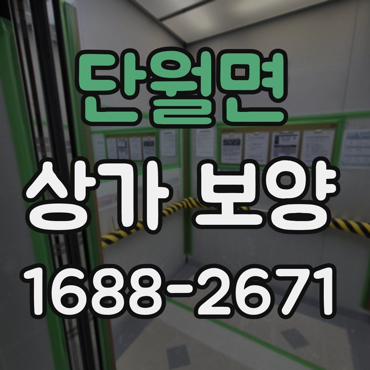 단월면 상가 보양 작업 범위와 진행 순서