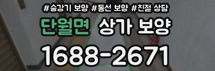단월면 상가 보양