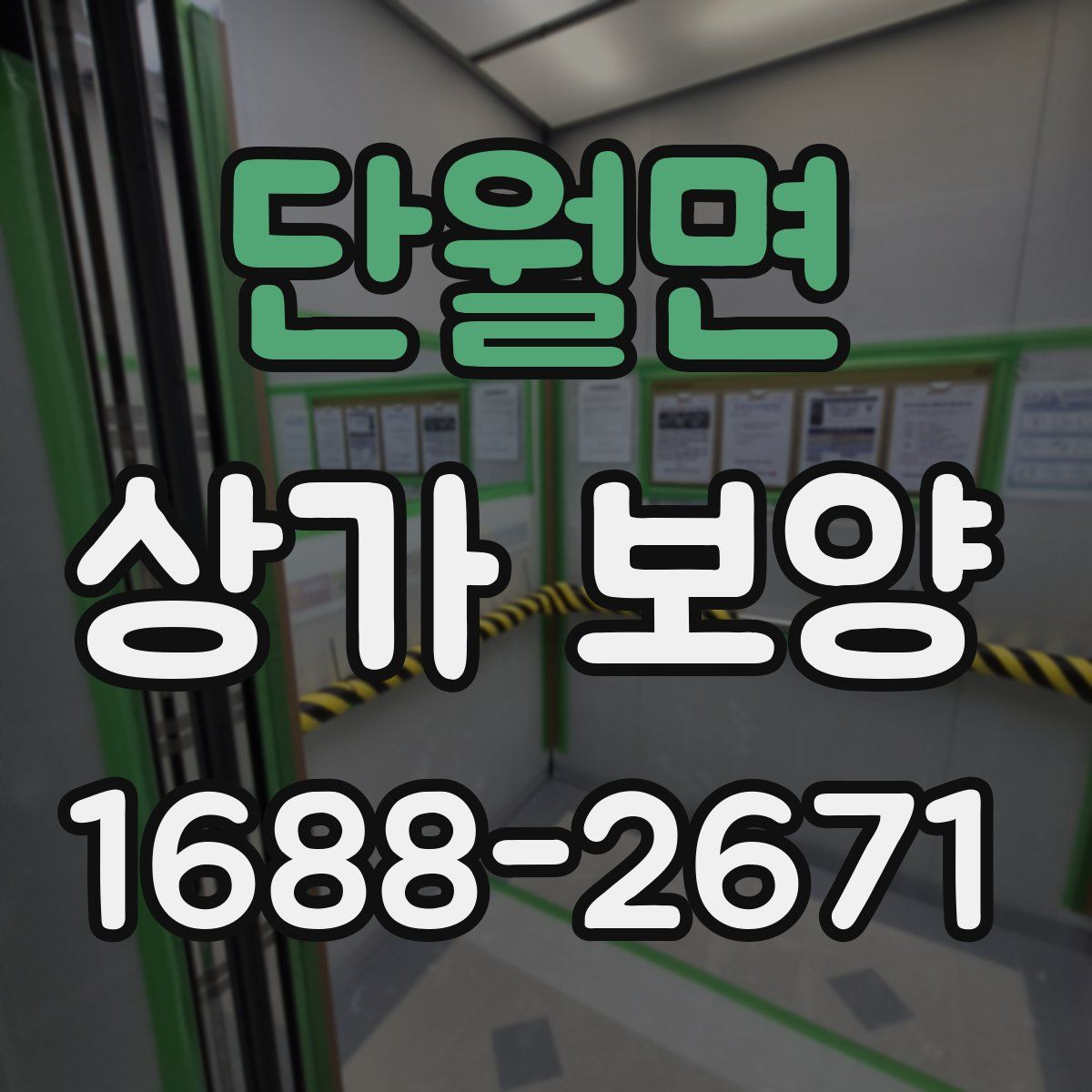 단월면 상가 보양