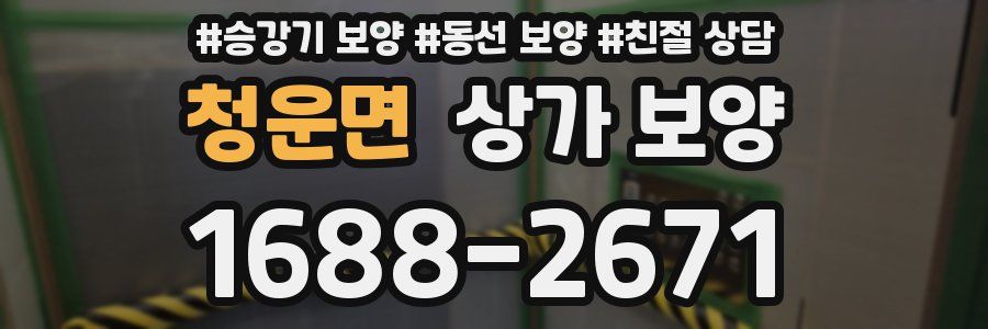 청운면 상가 보양