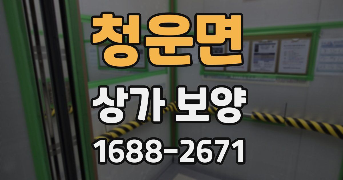 청운면 상가 보양
