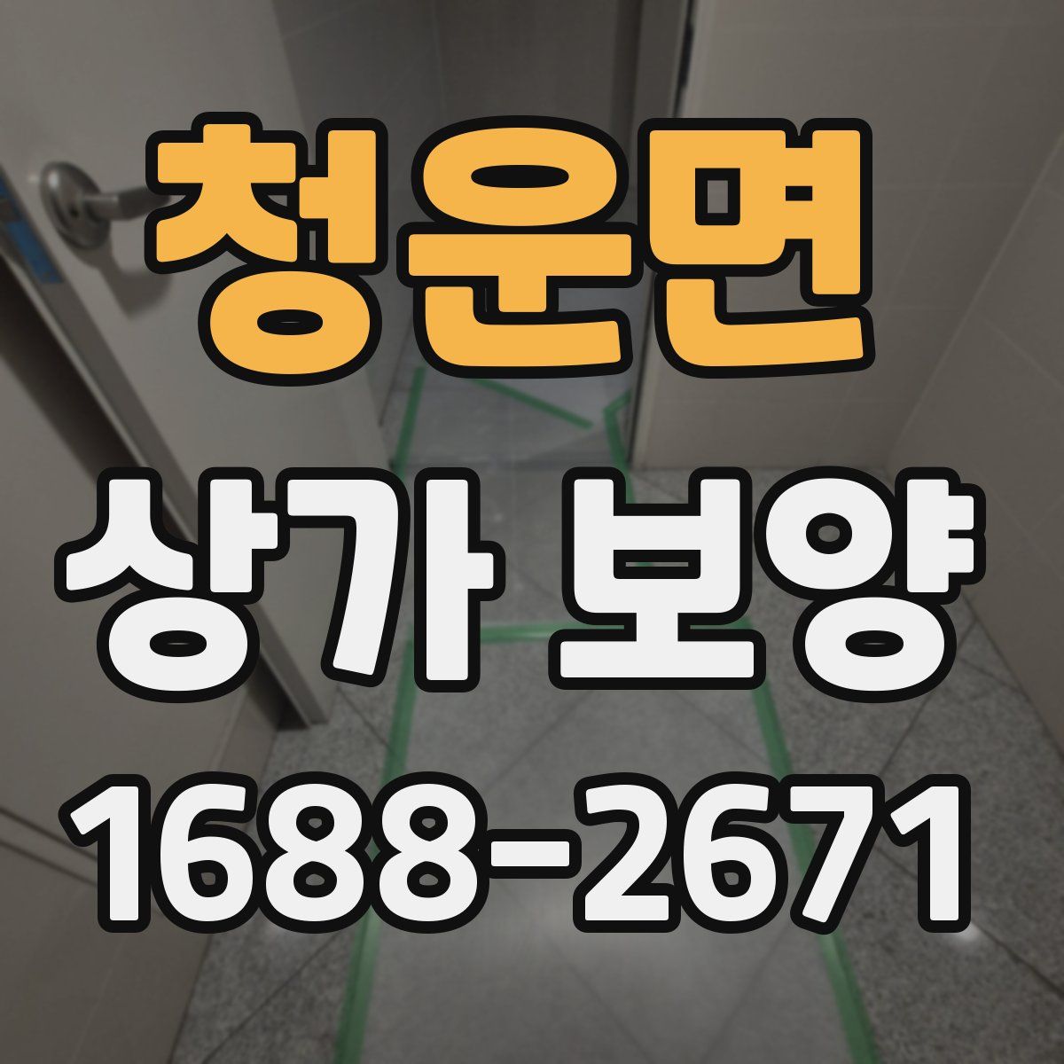 청운면 상가 보양