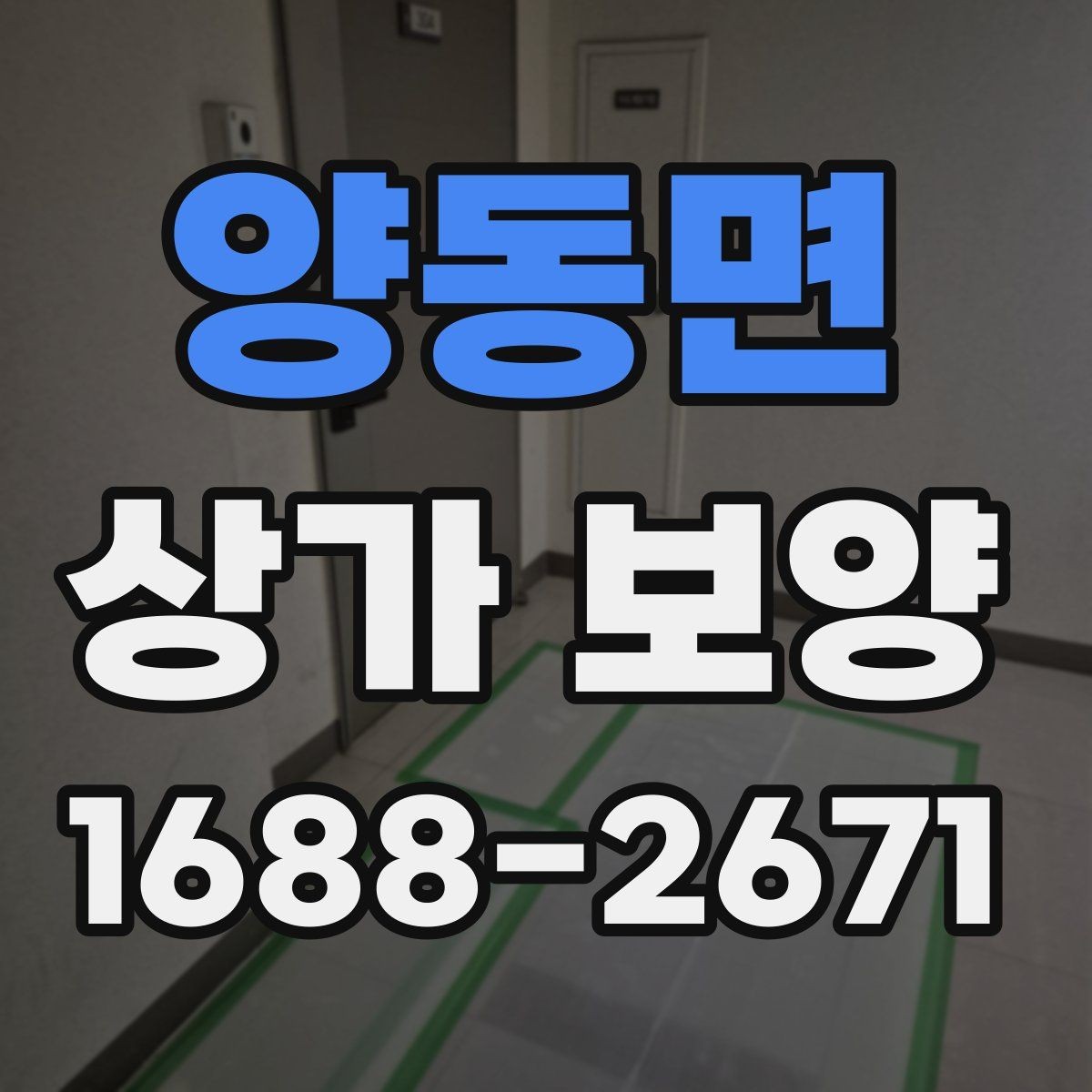 양동면 상가 보양 시 공정 간 조율 방법
