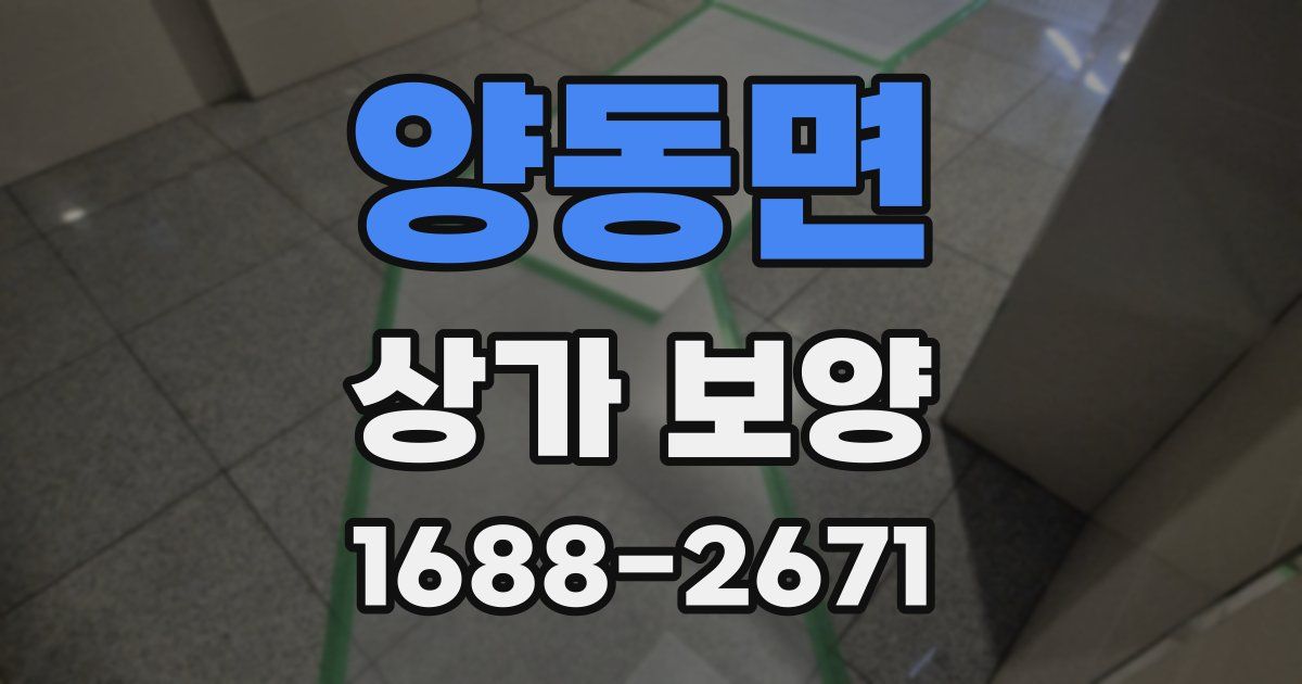 양동면 상가 보양
