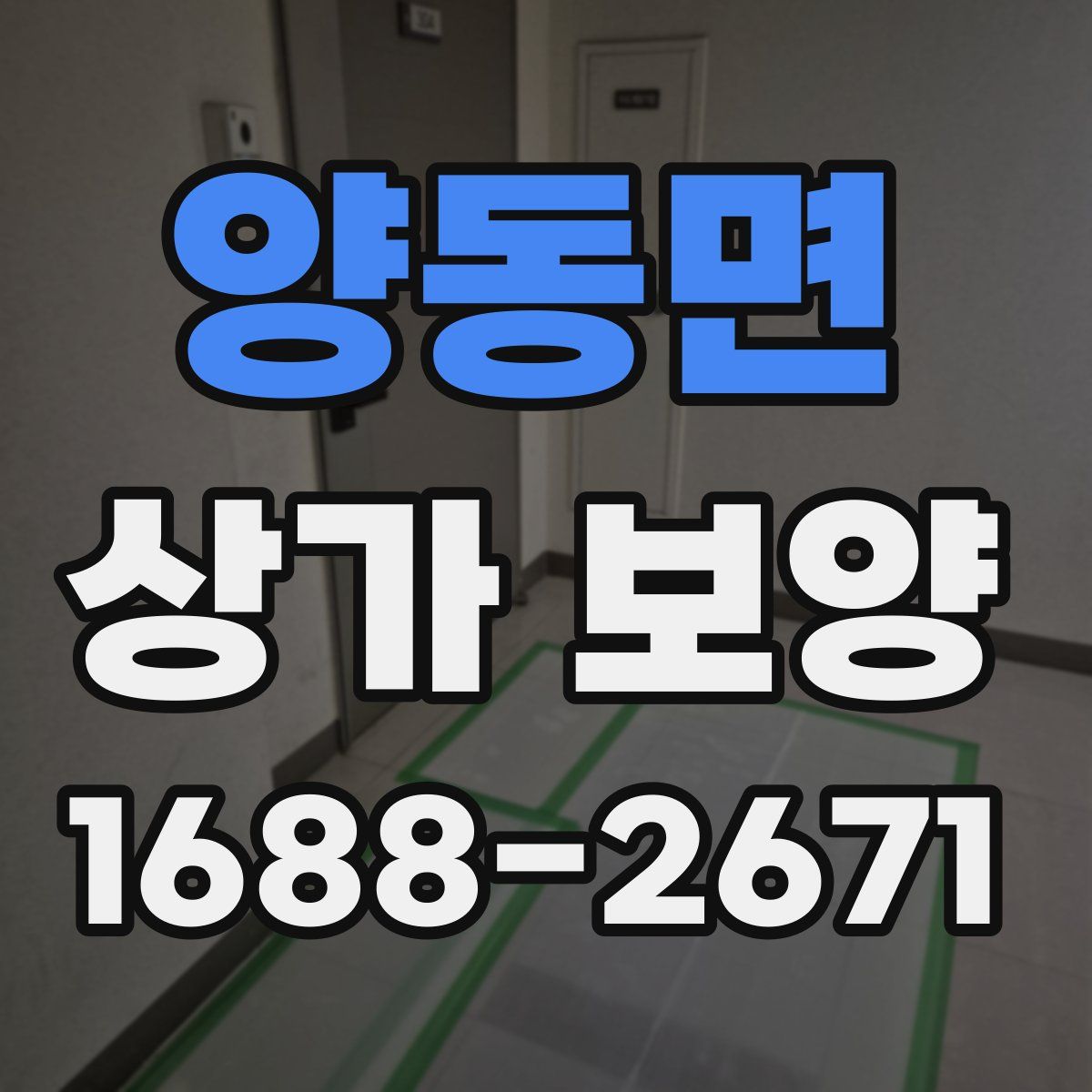 양동면 상가 보양