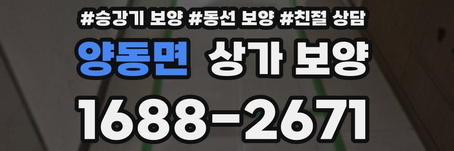 양동면 상가 보양