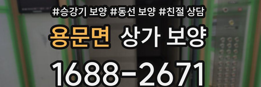 용문면 상가 보양