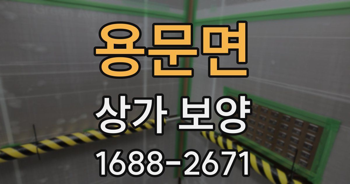 용문면 상가 보양