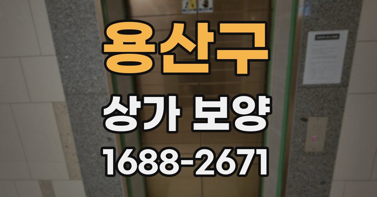 용산구 상가 보양