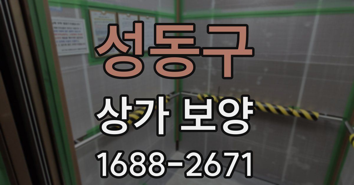 성동구 상가 보양