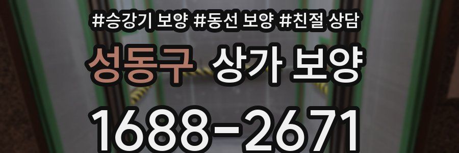 성동구 상가 보양