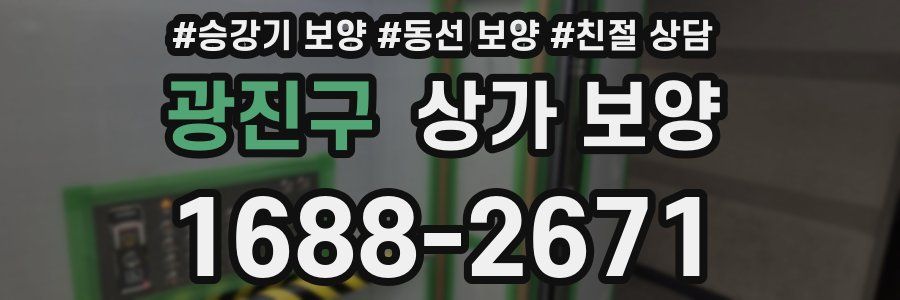 광진구 상가 보양
