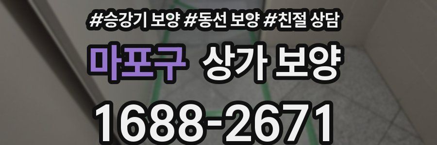 마포구 상가 보양