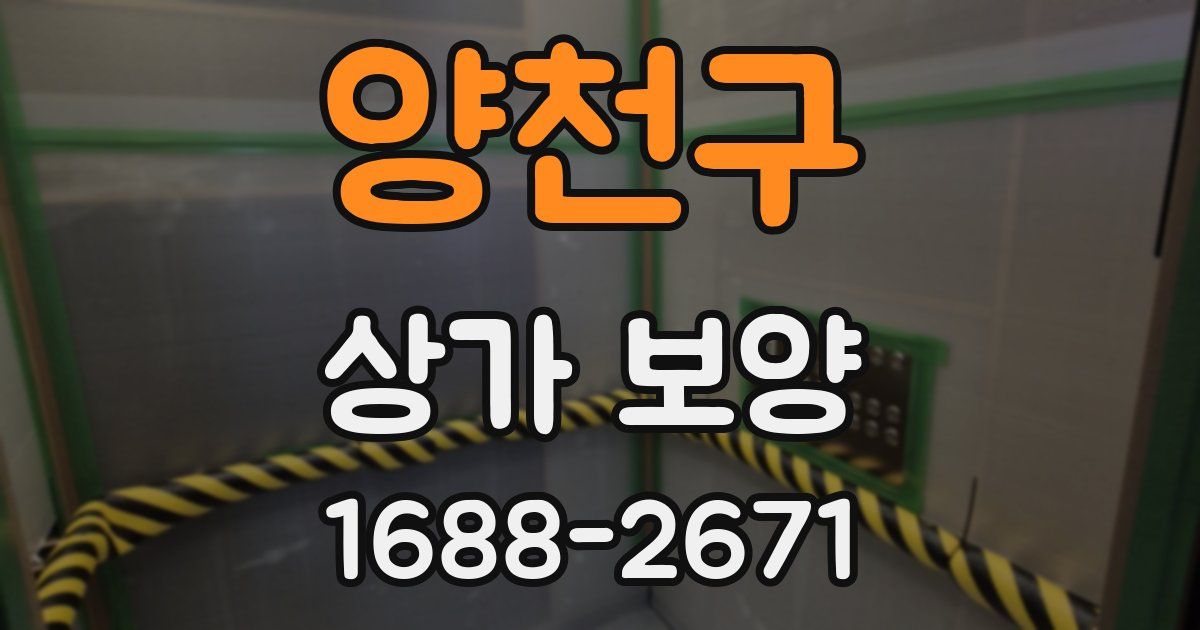 양천구 상가 보양