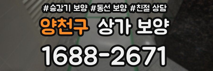 양천구 상가 보양