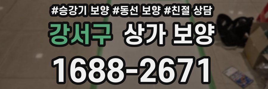 강서구 상가 보양