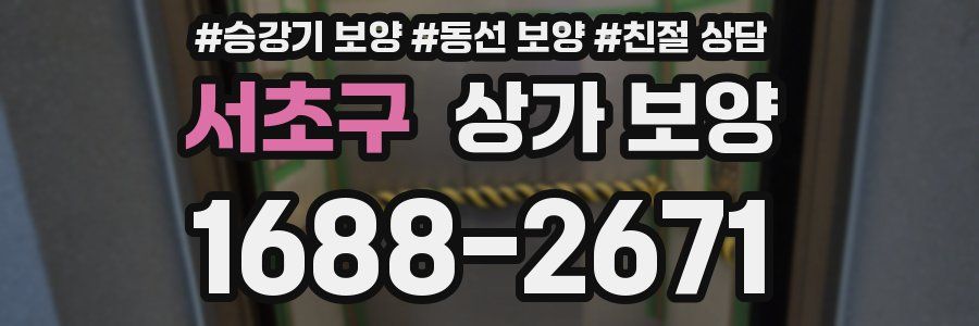 서초구 상가 보양