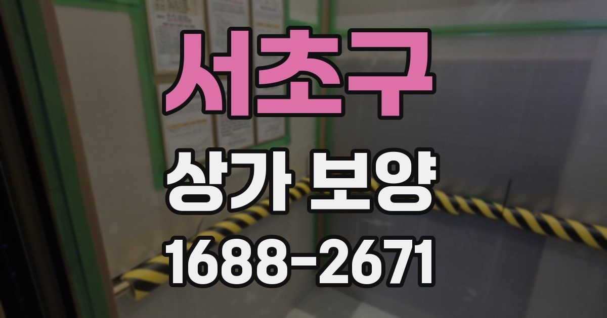서초구 상가 보양