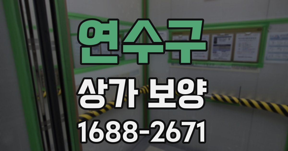 연수구 상가 보양