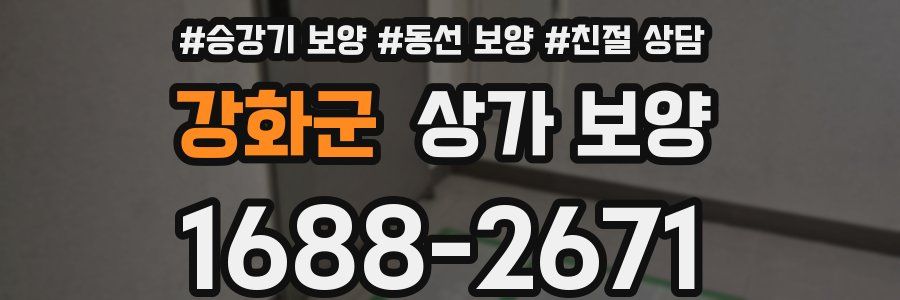 강화군 상가 보양