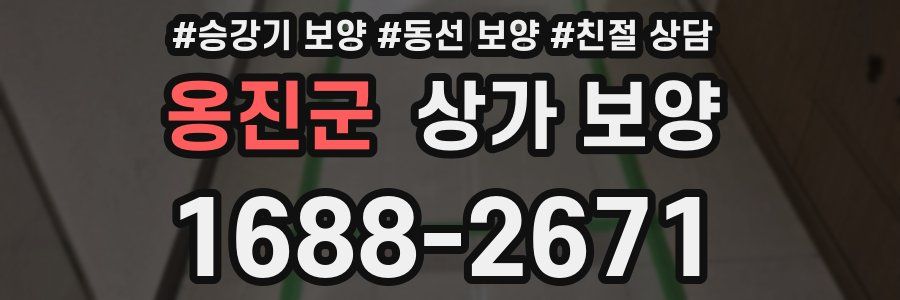 옹진군 상가 보양
